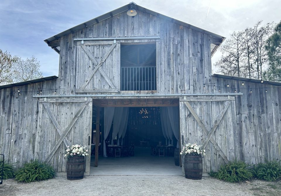 Weathered barn entrance flanked by white hydrangea barrel arrangements