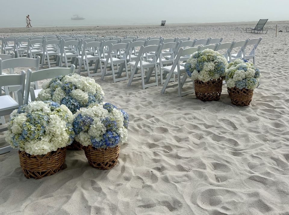 Blue and white hydrangea baskets on the beach beside ceremony seating