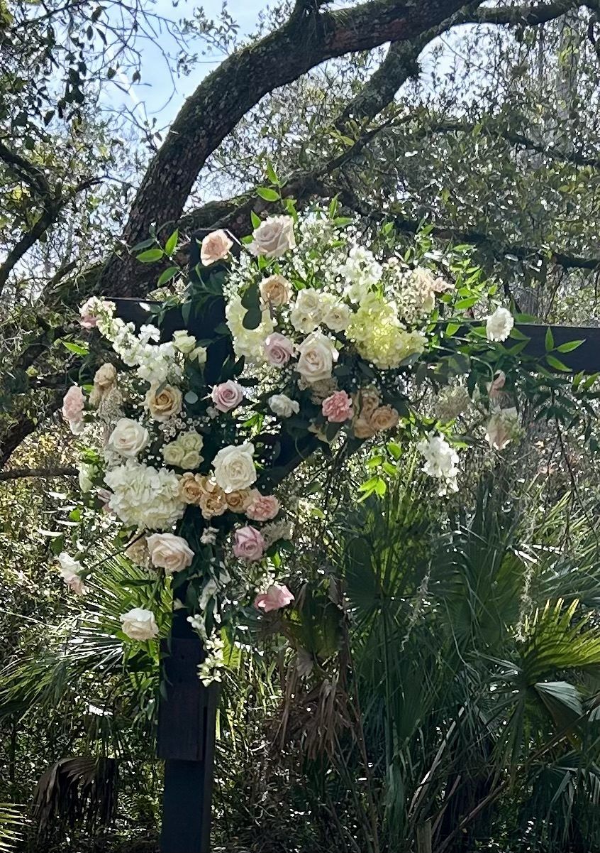 White and blush floral cluster on a dark arch under live oak branches
